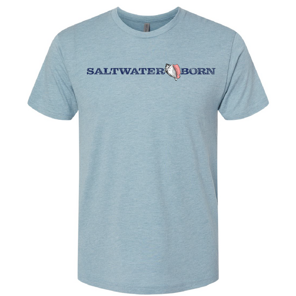 Saltwater Born Outer Banks, NC Lighthouse Triblend Tee